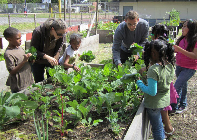 community-garden-1 community-garden-1